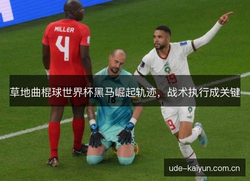 草地曲棍球世界杯黑马崛起轨迹，战术执行成关键